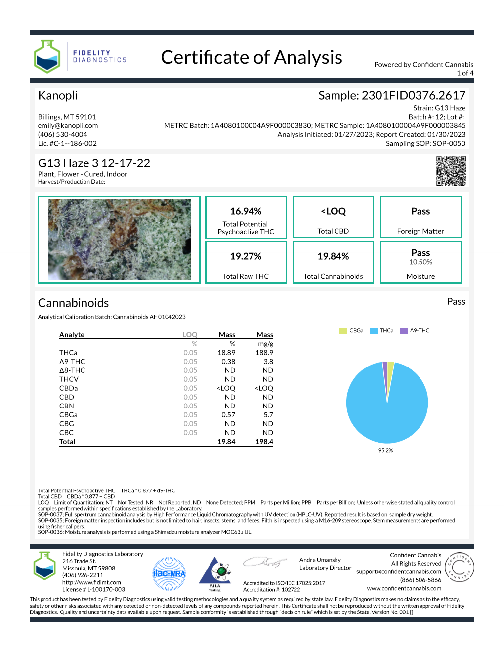 1/4 oz. G13 Haze 3 - Hybrid bud (16.94% THC) Dec. 2022 (7 grams)