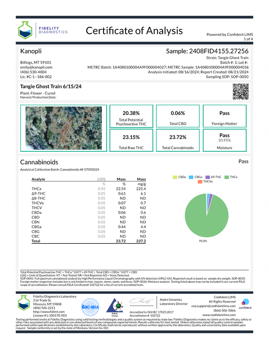 Tangie Ghost Train - Hybrid bud (20.38% THC) June 2024
