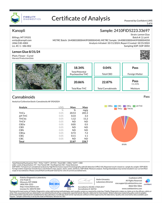 Lemon Glue - Sativa bud (18.34% THC) Aug. 2024