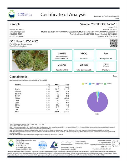 1/4 oz. G13 Haze 1 - Hybrid bud (19.06% THC) Dec. 2022 (7 grams)