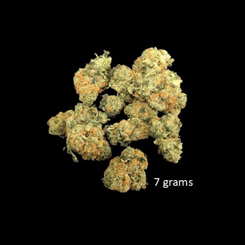 Jager - Indica bud (23.57% THC) Aug. 2024