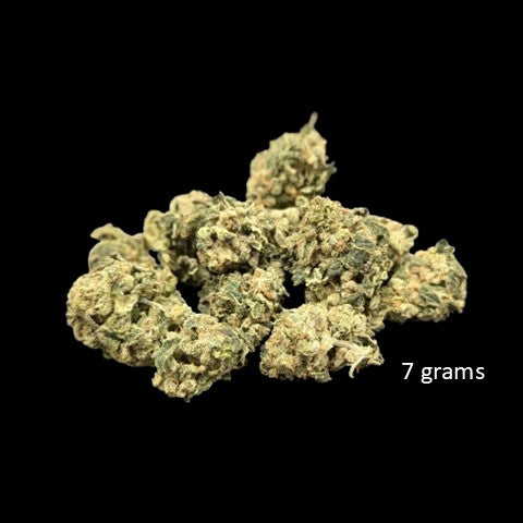 Trophy Wife - Hybrid bud (21.99% THC) Aug. 2024