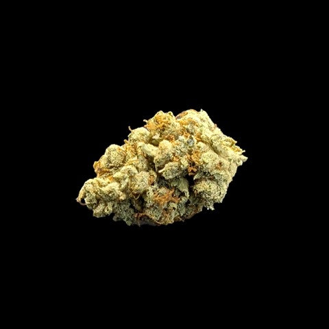 Adult Use - Danger Russ - Hybrid 23.28% THC (May 2023)
