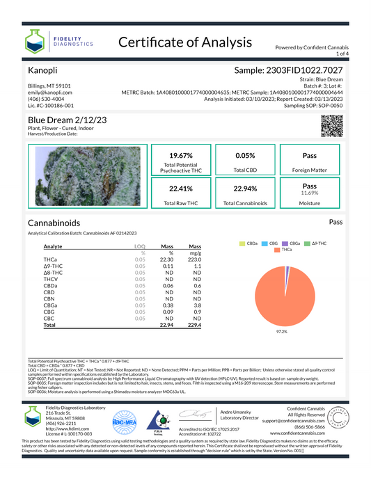 Blue Dream - Hybrid Bud 19.67% THC (Feb. 2023) MEDICAL