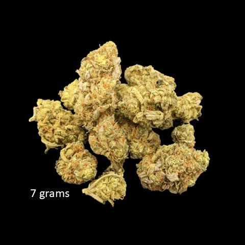 Adult Use - Obiwan - Indica 26% THC May 2023